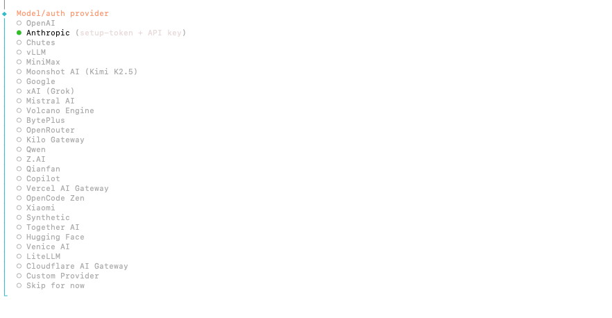 Model/Auth Provider Auswahl in OpenClaw